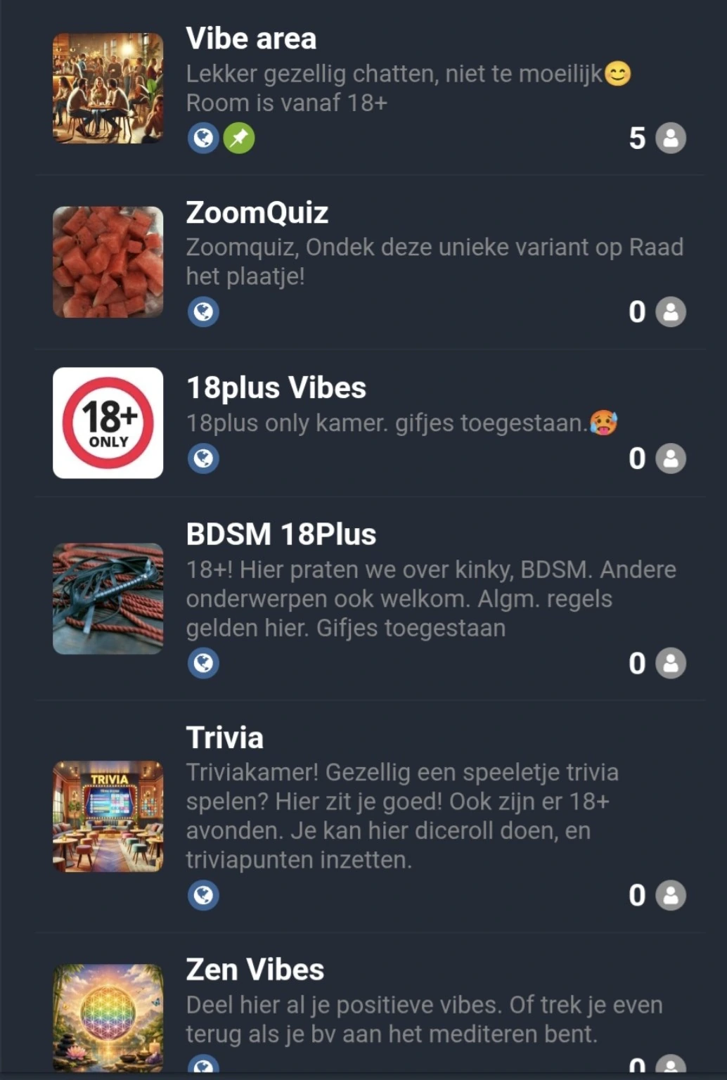 Kamerlijst met verschillende chatrooms op ChatVibes