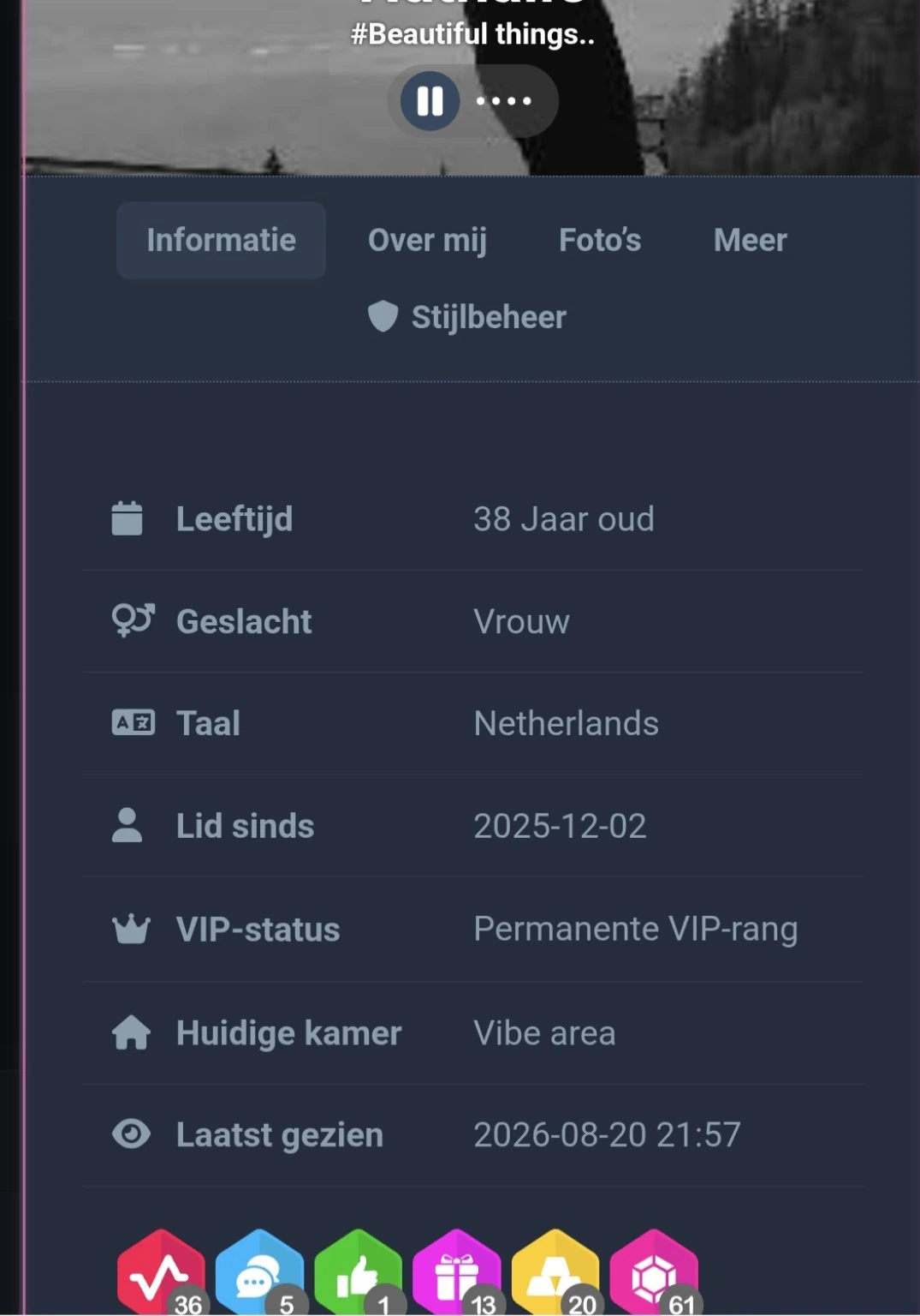 Profielinformatie van een geregistreerde gebruiker binnen ChatVibes